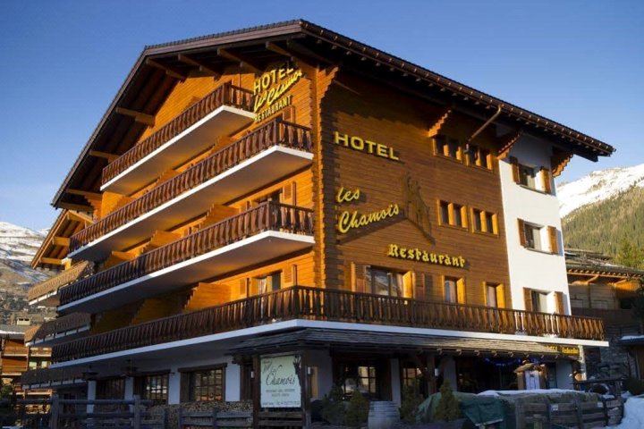 羚羊酒店(Hotel les Chamois)