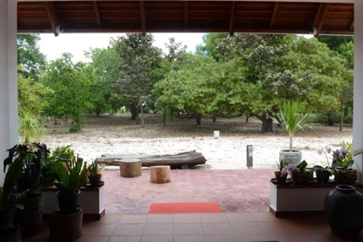 德拉凯纳度假村(Dracaena Resort)