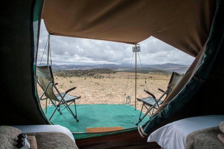 纳马奎酋长花朵营地(Chiefs - Namaqua Flower Camps)