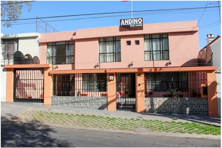 安迪诺塞尔瓦阿莱格雷酒店(Hotel Andino Selva Alegre)