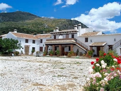 拉斯维加斯科尔蒂霍酒店(Cortijo Las Monjas)