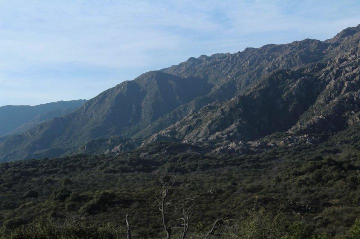 Cabaña Los Piquillines