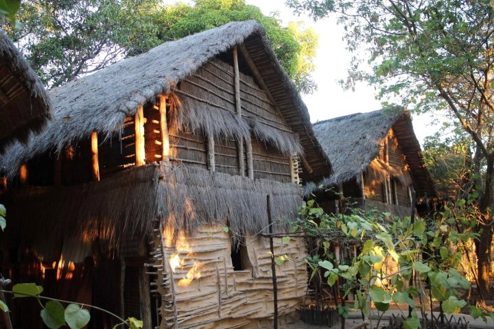 伊哈拉那森林营地(Iharana Bush Camp)