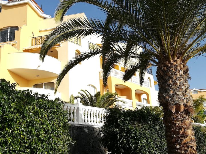 克里斯蒂亚诺斯华丽公寓酒店(Luxe Apt in Los Cristianos)