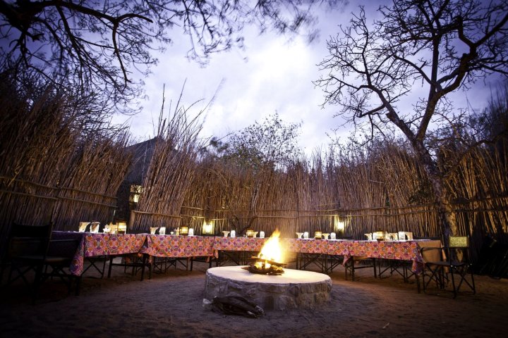 腊肠树野生动物园露营地旅馆(Sausage Tree Safari Camp)