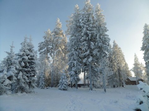 瑟乐布彦尼博尔度假屋(Guest House in Serebryaniy Bor)