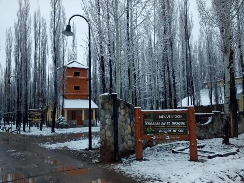 Terrazas En El Bosque Cabañas