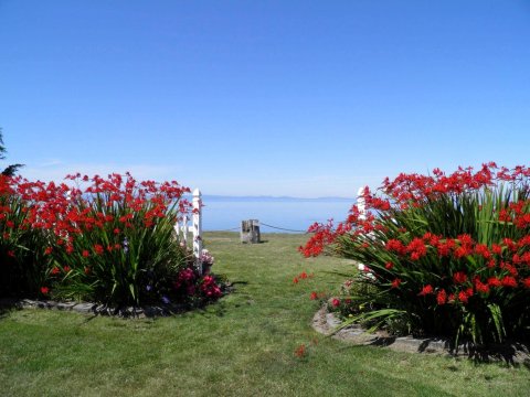 海崖花园住宿加早餐旅馆(Sea Cliff Gardens)