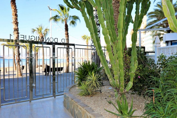 唐米格尔公寓 1 18-A 酒店(Don Miguel 1 18-A Levante Beach)