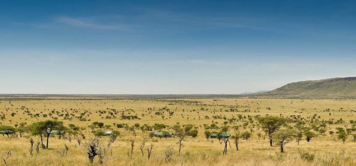 旷野露营野生动物园 - 塞伦盖蒂中央(Nyikani Camp- Central Serengeti)