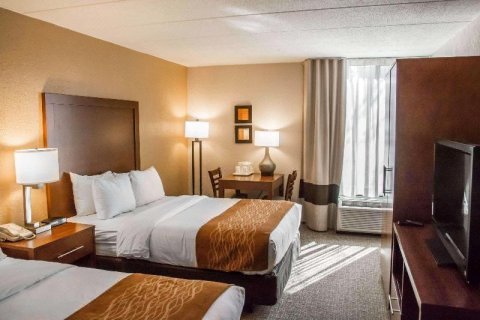 东北辛辛那提舒适酒店(Comfort Inn Northeast Cincinnati)