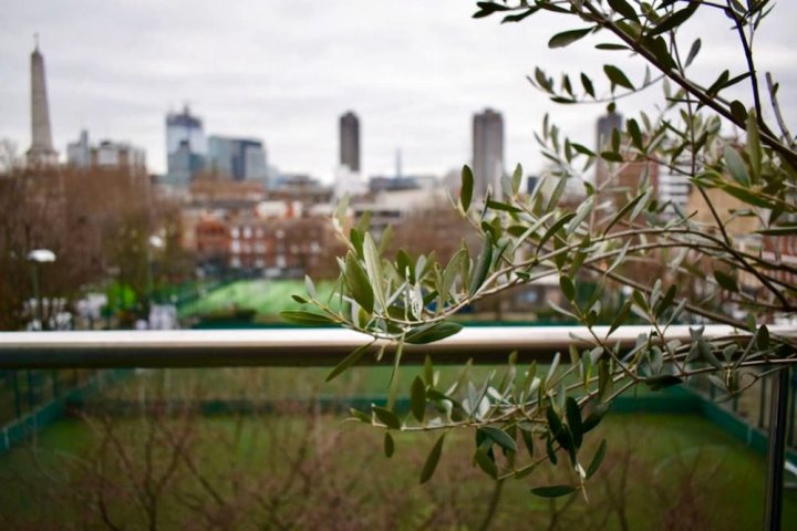 当代惊人伦敦景观 1 居公寓(Contemporary 1 Bedroom Flat with Stunning London View)