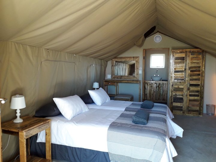 蓝丛林人华丽帐篷旅馆(Blue Bushman Luxury Tented Lodge)