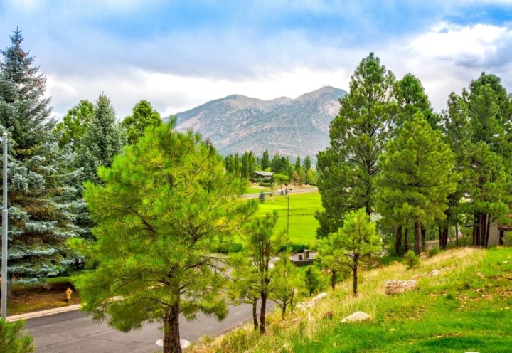 松树宁静乡村俱乐部公寓式客房(Peaceful Country Club Condo in The Pines)