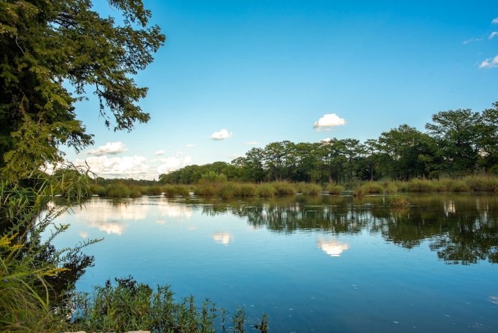 瓜达卢佩河杰利斯通公园酒店(Jellystone Park Guadalupe River)