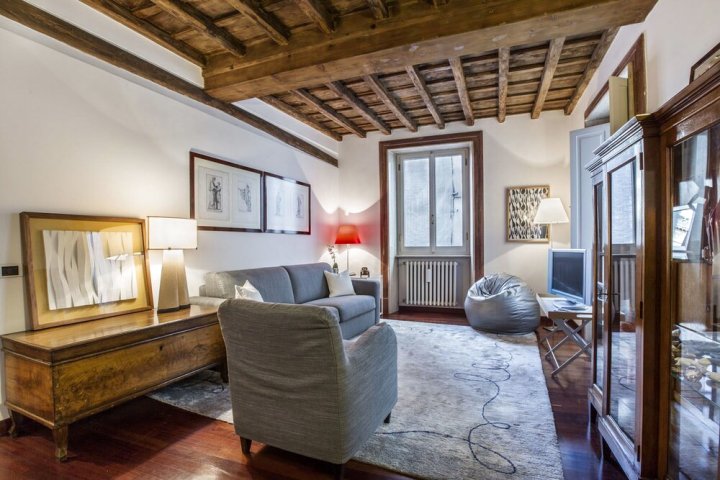 罗马市中心奢华公寓酒店(Luxury Flat in The Center of Rome)