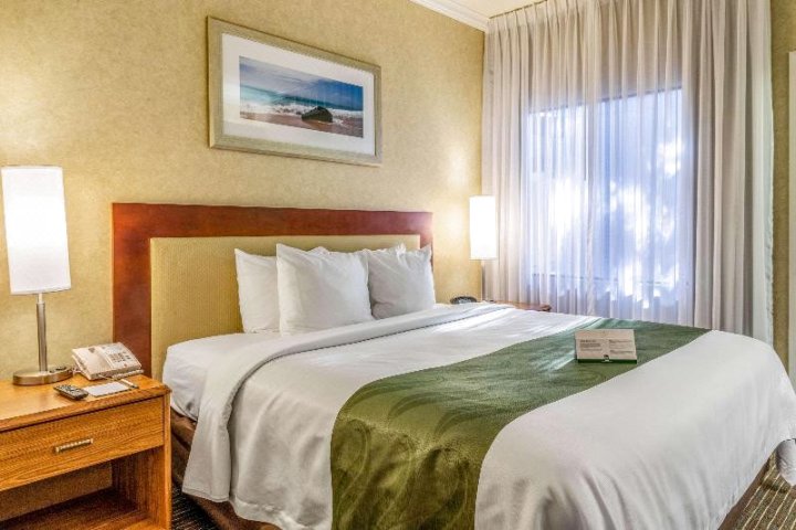 圣路易斯奥比斯波品质酒店(Quality Suites Downtown San Luis Obispo)