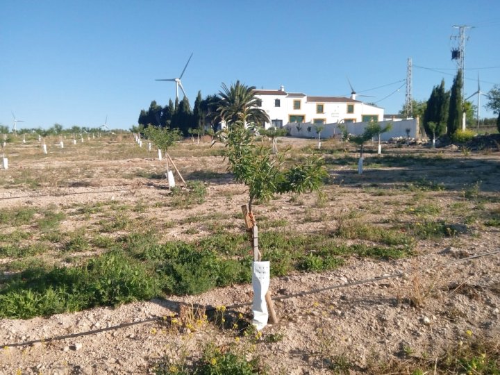 奥雷加诺乡村旅馆(Alojamiento Rural El Orégano)