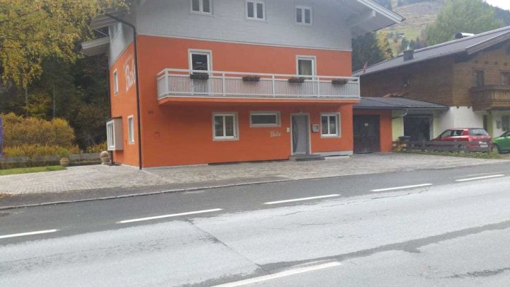 Alpen Appartements Viehhofen