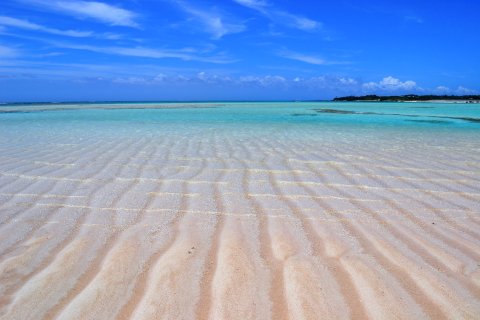 Minshuku Soususo Yoron Island