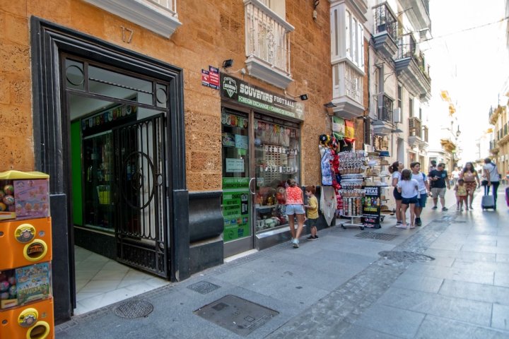 加的斯公司公寓酒店(Apartamento Cadiz Compañia)