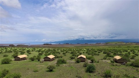 非洲野生动物园湖滨纳特龙酒店(Africa Safari Lake Natron)