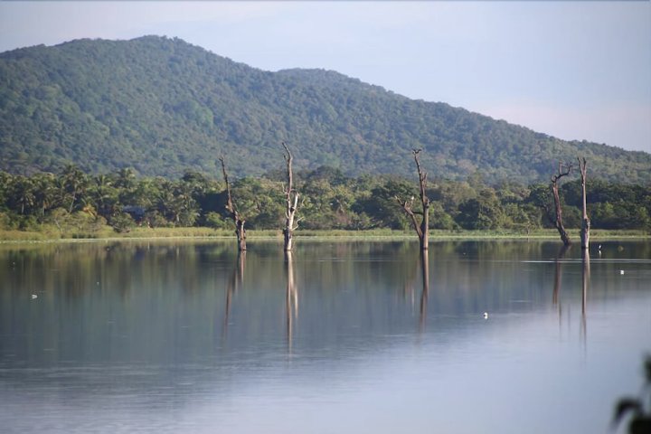 湖畔赐福酒店(Lake Bliss)