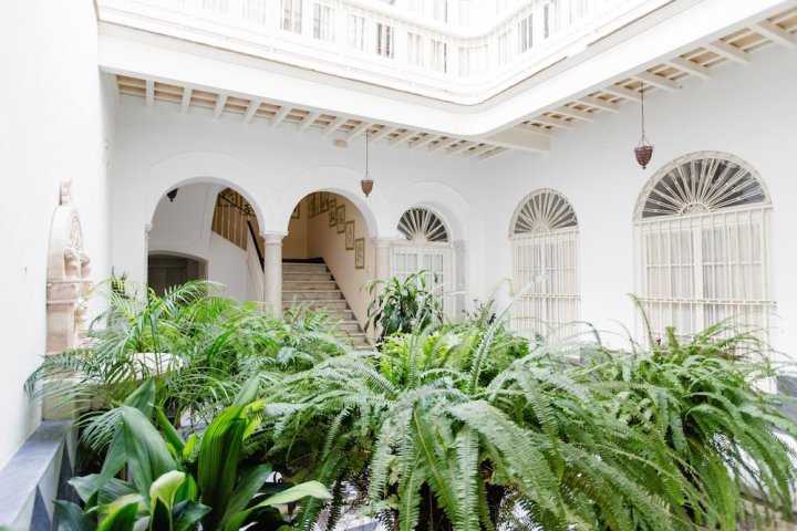 拉·博特·尼卡之家(Casa de La Botánica)