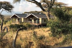 恩戈罗恩戈罗狮爪野生动物园(Ngorongoro Lions Paw)