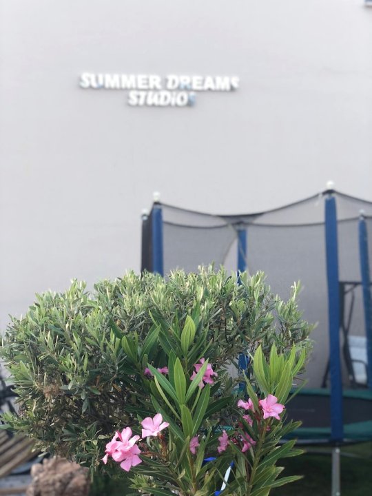 夏梦一室公寓酒店(Summer Dreams Studios)