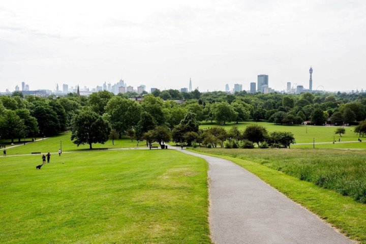 樱草花山和平酒店(Peaceful in Primrose Hill)