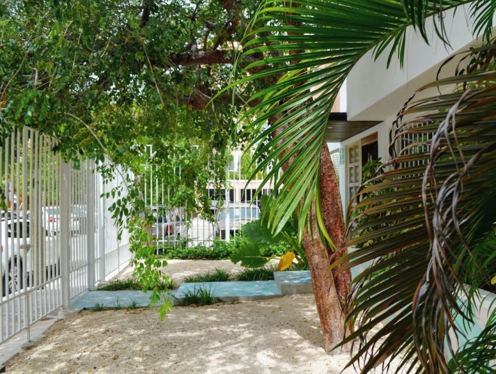 坎昆天空家庭旅馆(Casa Cielo Cancun)