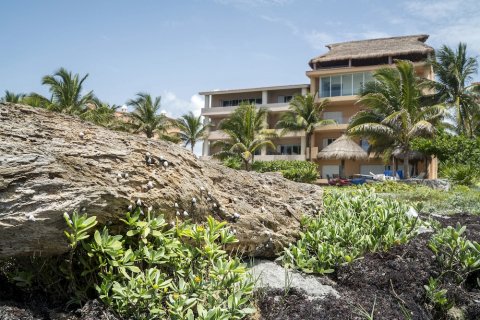 布拉瓦海岸 A3 日出海景保护区海滩之家酒店(Costa Brava A3. Ocean View and Protected Beach Near Home)