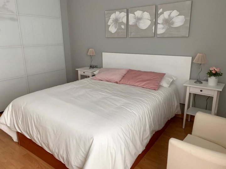 穆里略中央公寓酒店(Apartamento Murillo Centro)