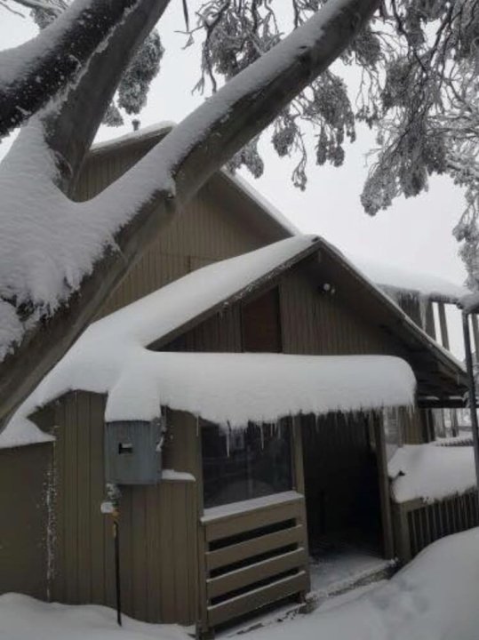 科里奥滑雪俱乐部酒店(Corio Ski Club)