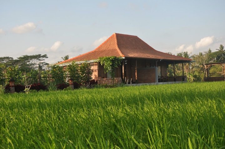 瓦那住宅乌布酒店(Wana Stay Ubud)