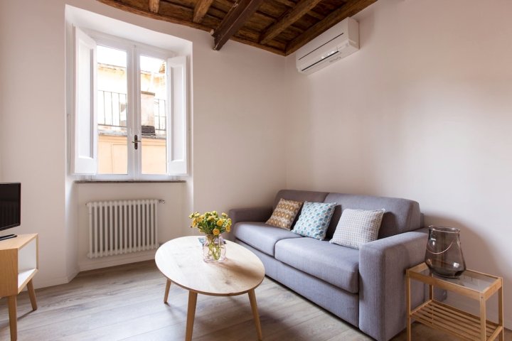 西班牙人大道万神殿舒适公寓酒店(Cozy Apartment in Via Degli Spagnoli, Pantheon)