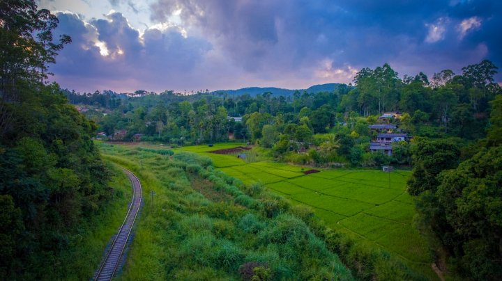 艾拉微风家庭旅馆(Ella Breeze Homestay)