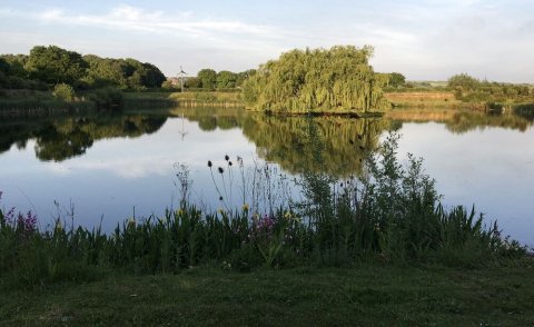 威斯特摩尔农场旅馆(The Lodge Westmoor Farm)