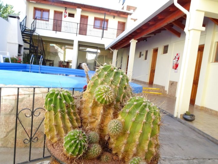 仙人掌卡法亚特民宿(Casa Cactus Cafayate)