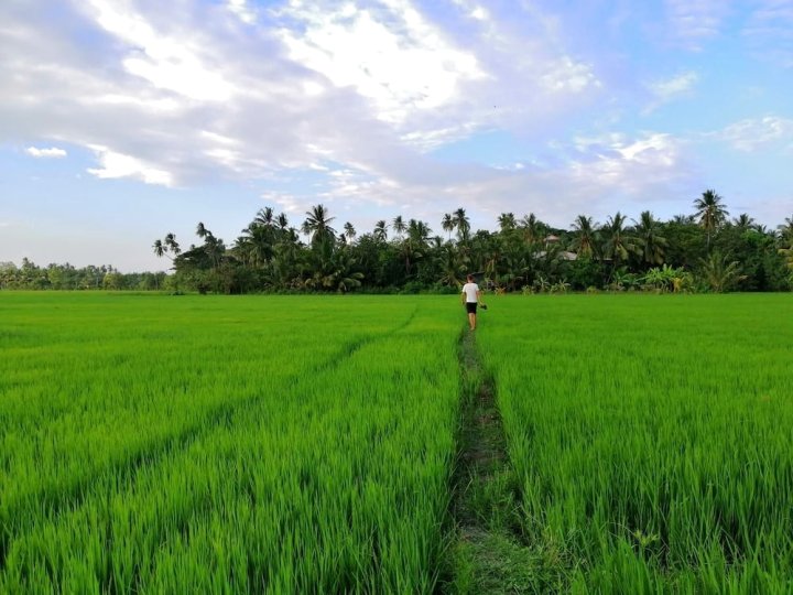 维威卡旅馆(Viveka Inn Guest and Yala Safari)