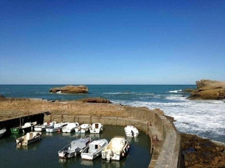 Appartement Biarritz, 1 pièce, 2 Personnes - FR-1-3-392