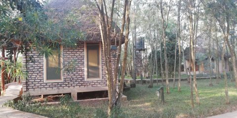 伊龙古森林游猎山林小屋(Irungu Forest Safari Lodge)