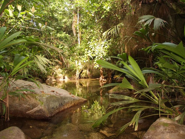 马特里斯维达小屋旅馆(Matriz de Vida Lodge)