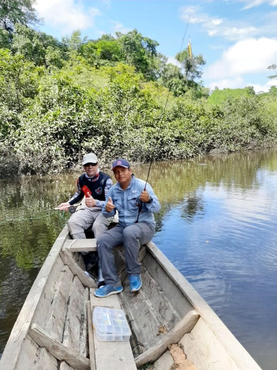 吉贝木棉丛林旅游冒险酒店(lupuna jungle tours and expeditions)