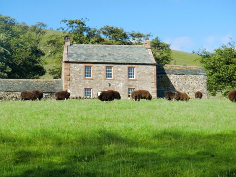 达希农舍度假屋(The Dash Farmhouse)