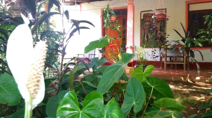 锡吉里亚皮卡索家庭旅馆(Sigiriya Pikaso Homestay)