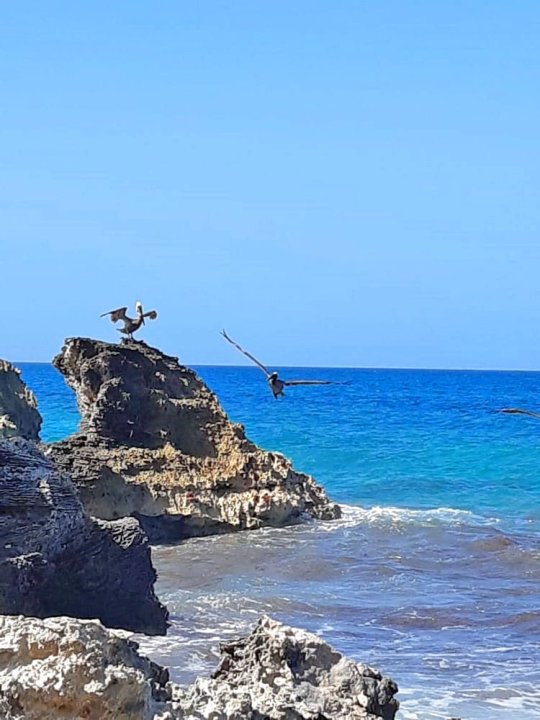 女人岛朋友出租酒店(Amigo Rental Isla Mujeres)