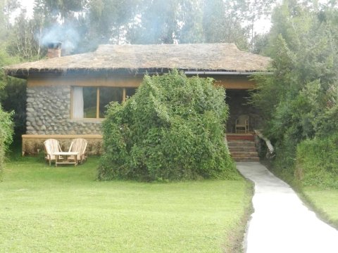 戈里拉山景旅馆(Mountain Gorilla View Lodge)