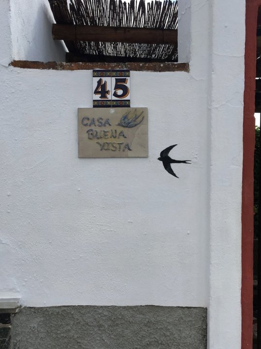 布埃纳维斯塔民宿(Casa Buena Vista)